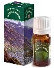 Купить Elfarma масло эфирное чайное дерево 5 мл в индивидуальной упаковке цена