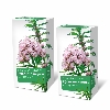 Купить Набор Для нервной системы: 2 уп.Фиточай Алтай №33 крепкие нервы с валерианой 2г N20 цена