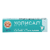 Купить Холисал гель стоматологический 10 гр цена
