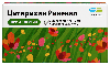 Цетиризин реневал 10 мг 30 шт. таблетки, покрытые пленочной оболочкой