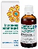Купить Элеутерококка экстракт жидкий экстракт для приема внутрь (жидкий) 50 мл цена