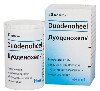 Купить Дуоденохель 50 шт. таблетки для рассасывания гомеопатические цена