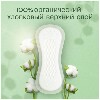 Купить Naturella cotton protection прокладки на каждый день плюс 24 шт. цена