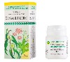 Купить Эвкалипт-плюс 20 гр гранулы гомеопатического применения цена