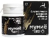 Купить Вистерра мумие 40 гр экстракт густой цена