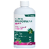Купить Snow sea хлорофилл форте жидкий со вкусом малины и мяты 450 мл флакон цена