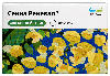 Купить Сенна реневал 30 шт. таблетки массой 180 мг цена