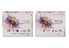 Купить НАБОР ИЗ 2 УП. ПАССИФЛОРА IQ 40 КАПС. МАССОЙ 320 МГ цена