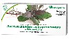 Купить Шалфей лекарственный листья лекра-сэт 20 шт. ф/п цена