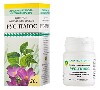 Купить Рус-плюс 20 гр гранулы гомеопатического применения цена