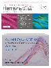 Купить Набор для комплексного лечения геморроя Натальсид №10 супп + Лимфодиавена 600 мг №30 со скидкой цена