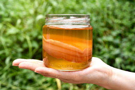 Читать статью "При простуде и ангине: чем полезен чайный гриб?"