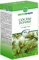 Сосны почки
