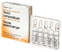 Тестис композитум