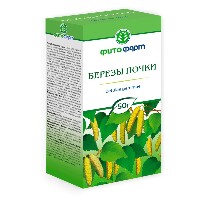 Березы почки