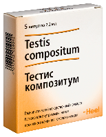 Тестис композитум