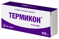 Термикон