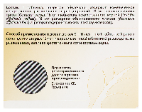 Канефрон Н