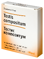 Тестис композитум