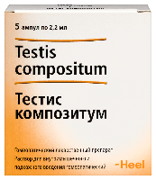 Тестис композитум