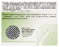 Синупрет