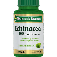 Эхинацея