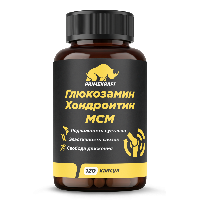 Глюкозамин Хондроитин