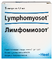 Лимфомиозот