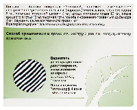 Тонзилгон Н