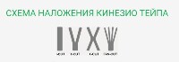 ЛЕНТА КИНЕЗИОЛОГИЧЕСКАЯ SFM-PLASTER В РУЛОНЕ 5Х3200СМ