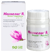 Магнелис В6