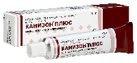 Канизон