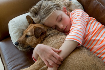Читать статью Сон с домашними животными оказался полезным для детей