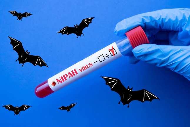 Туристов предупредили о вспышке вируса Нипах в Азии Читать статью Туристов предупредили о вспышке вируса Нипах в Азии
