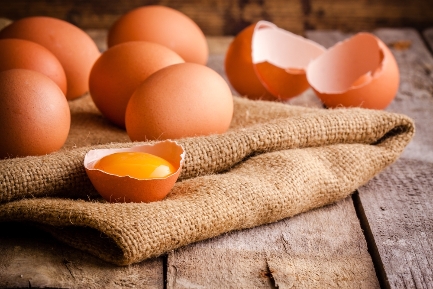 Читать статью Яйца на завтрак ускоряют похудение